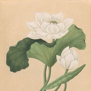 Meet your Posher, Annette p